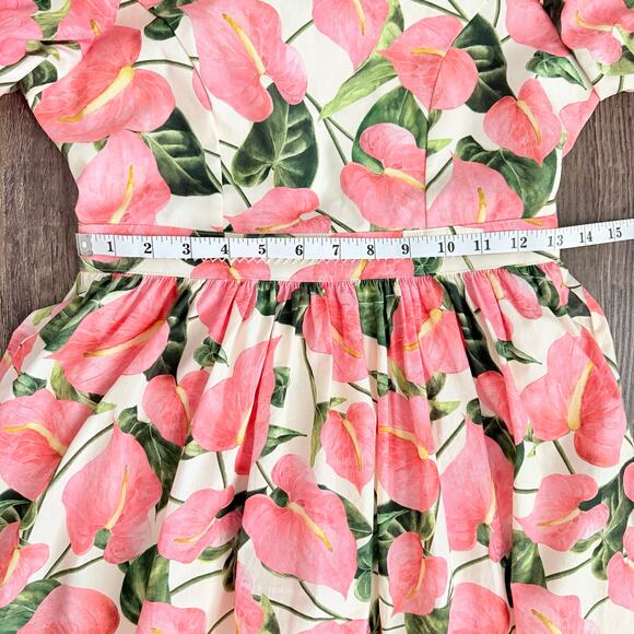 Agua by Agua Bendita Amapola Anturios Dress Size Small - Picture 12 of 15